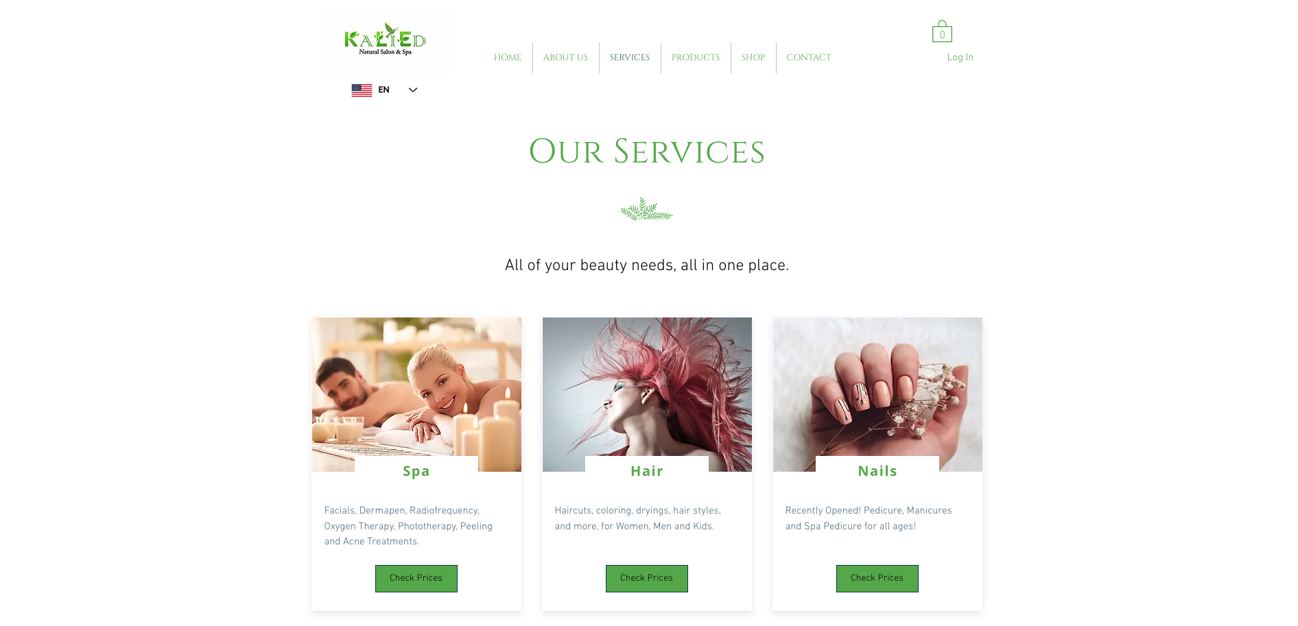 Screenshot 2023-12-12 at 8.49.52 PM